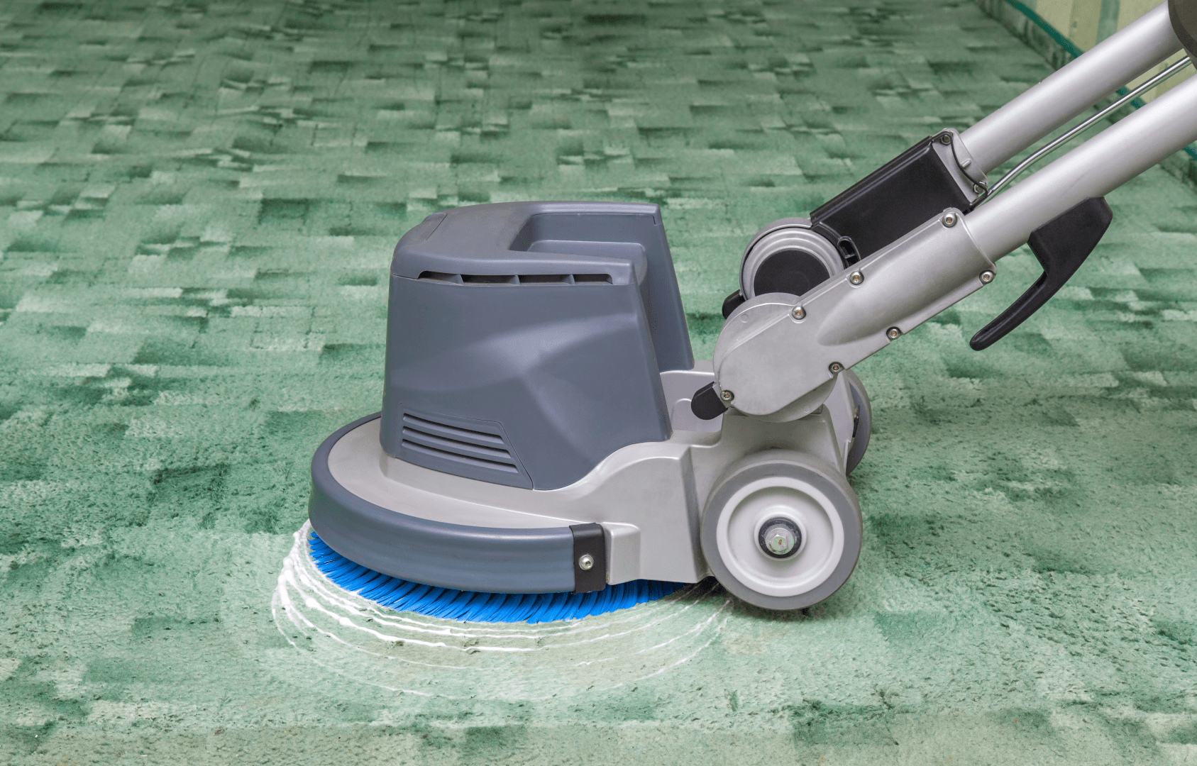 Carpet Cleaning detail