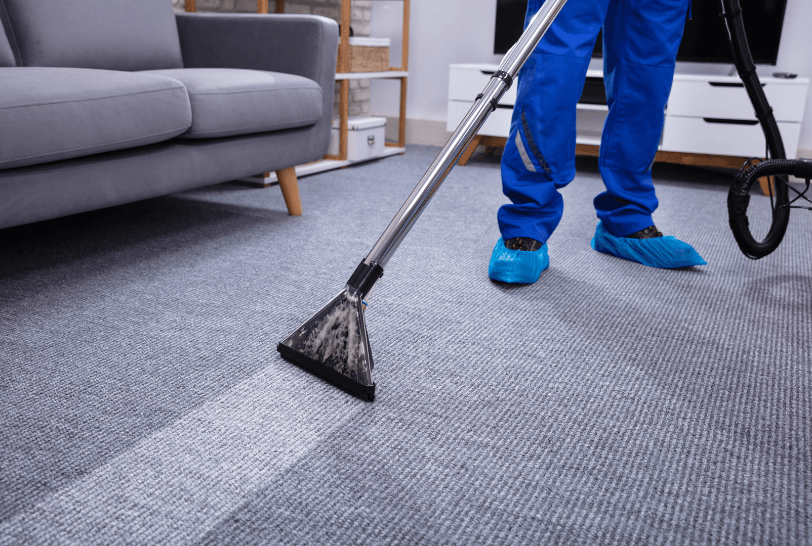 Carpet Cleaning