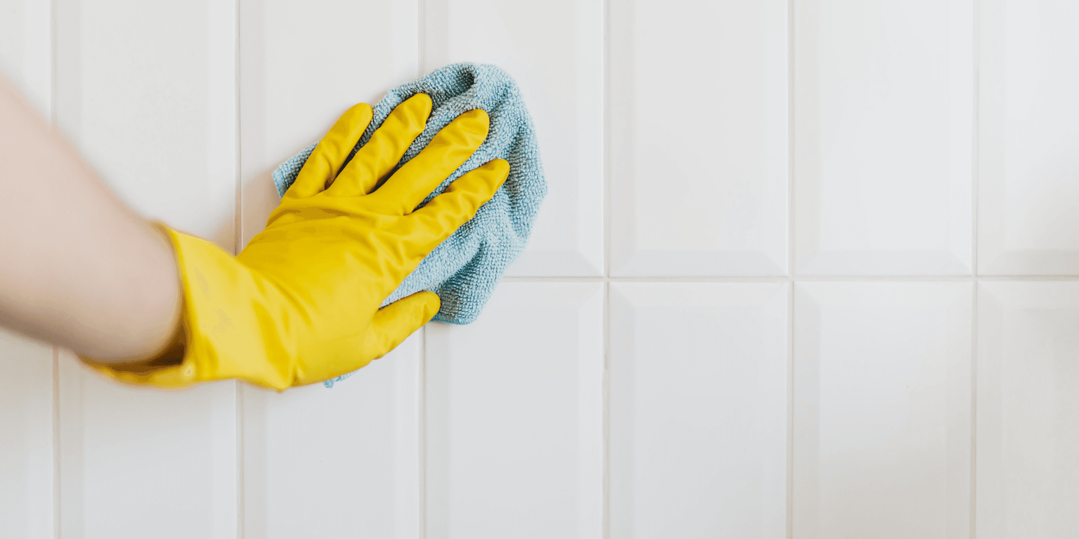 Cleaning Maintenance